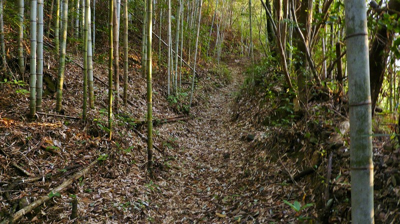 f:id:boianuf:20150429131134j:image