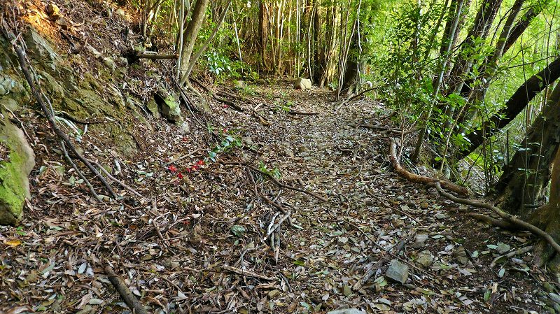 f:id:boianuf:20150429131135j:image