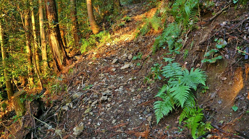 f:id:boianuf:20150429131136j:image