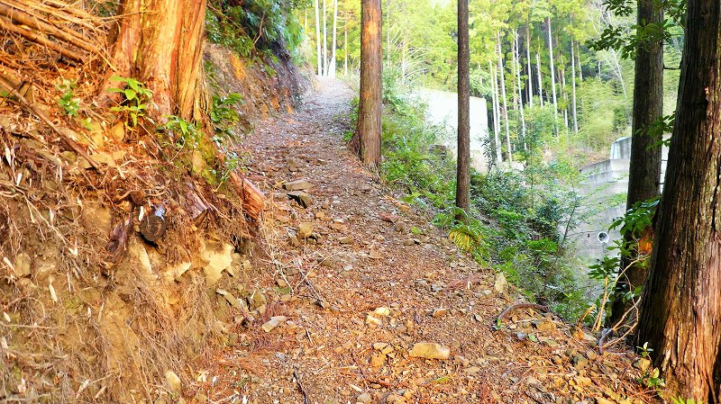 f:id:boianuf:20150429131138j:image