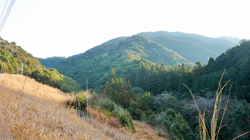 f:id:boianuf:20150429131247j:image