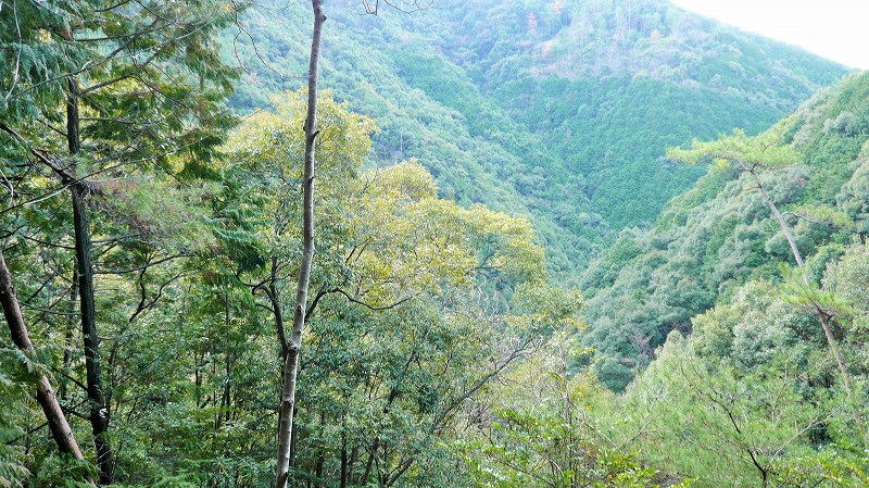 f:id:boianuf:20150429131249j:image