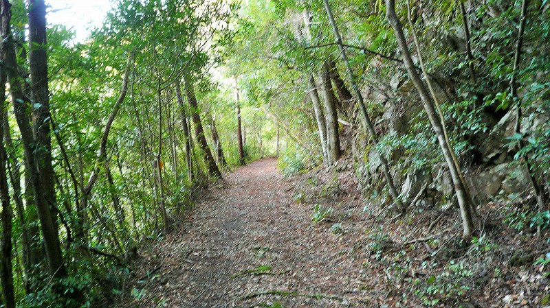 f:id:boianuf:20150429131250j:image