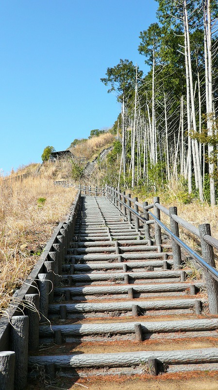 f:id:boianuf:20150429131357j:image