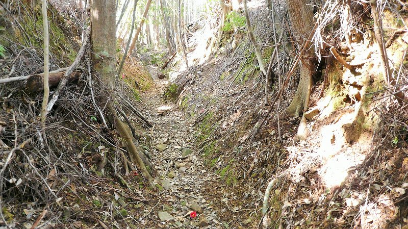 f:id:boianuf:20150429131508j:image