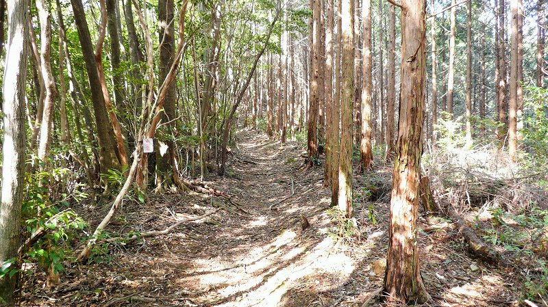 f:id:boianuf:20150429131511j:image