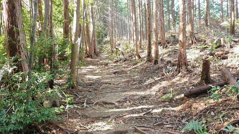 f:id:boianuf:20150429131512j:image