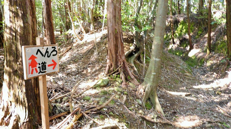 f:id:boianuf:20150429131513j:image