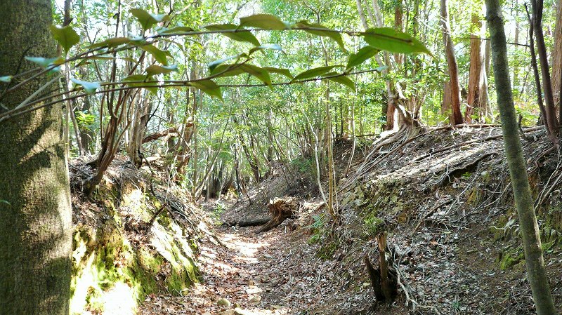 f:id:boianuf:20150429131514j:image