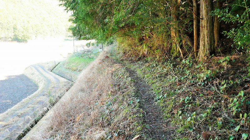 f:id:boianuf:20150429131632j:image