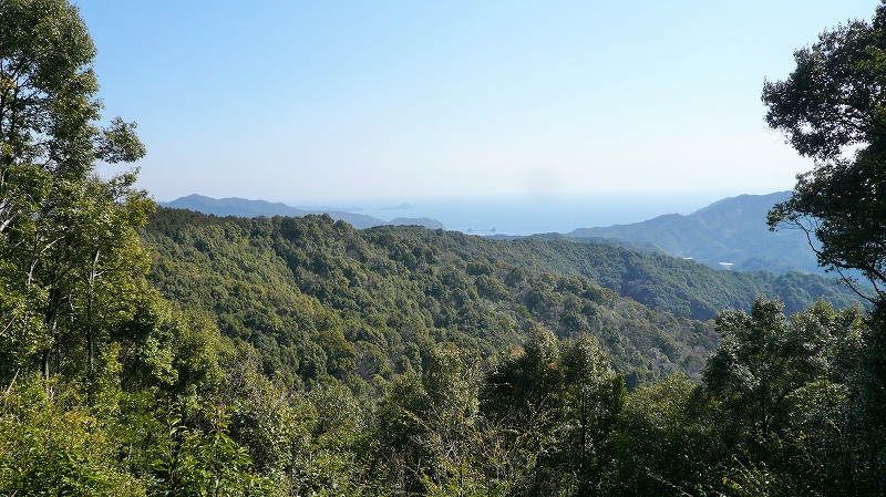 f:id:boianuf:20150429131633j:image