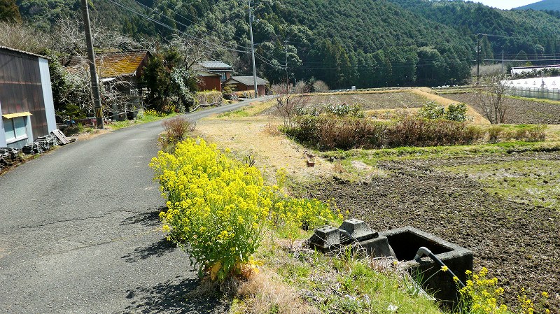 f:id:boianuf:20150429131930j:image