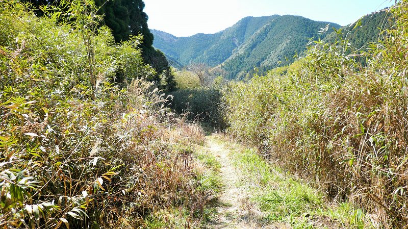 f:id:boianuf:20150429131932j:image