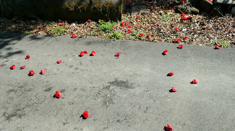 f:id:boianuf:20150429131934j:image