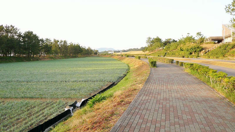 f:id:boianuf:20150430191514j:image