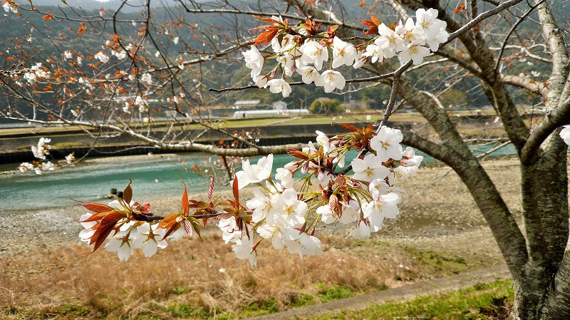 f:id:boianuf:20150430192011j:image