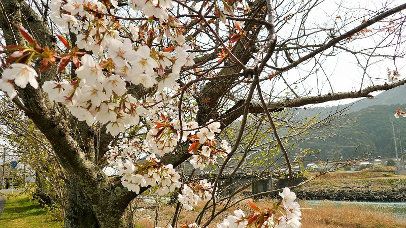 f:id:boianuf:20150430192012j:image