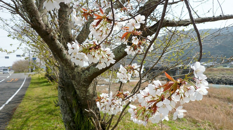 f:id:boianuf:20150430192014j:image