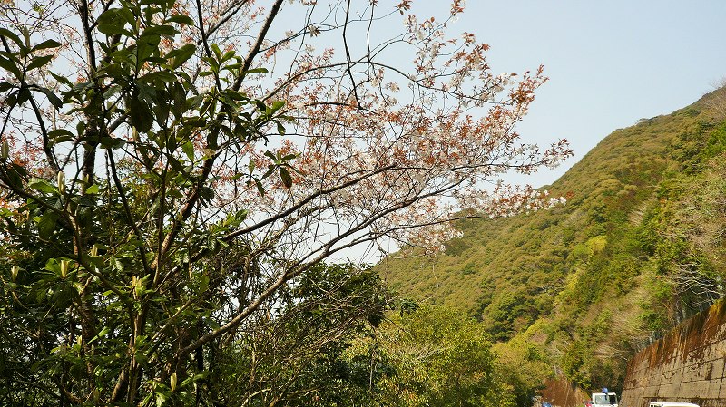 f:id:boianuf:20150430192015j:image