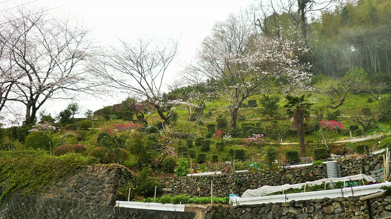 f:id:boianuf:20150507125812j:image