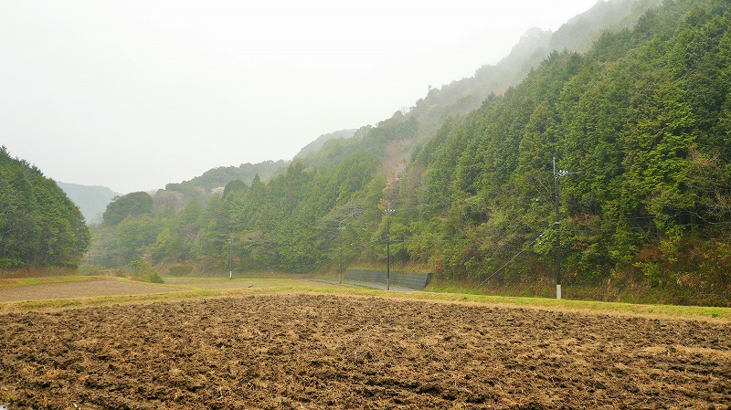 f:id:boianuf:20150507130340j:image