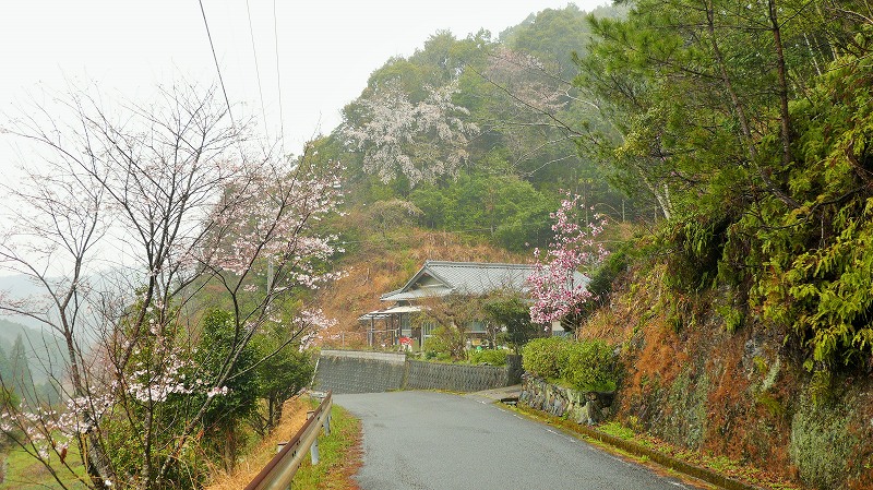 f:id:boianuf:20150507130344j:image