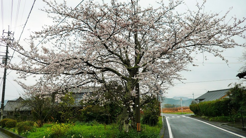 f:id:boianuf:20150507130523j:image
