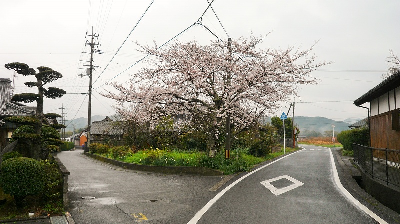 f:id:boianuf:20150507130725j:image
