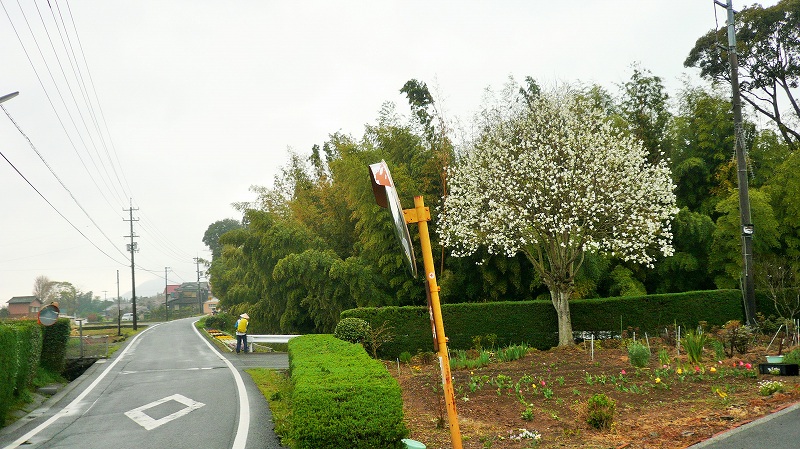 f:id:boianuf:20150507130726j:image