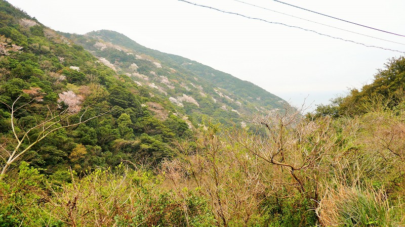 f:id:boianuf:20150507131302j:image