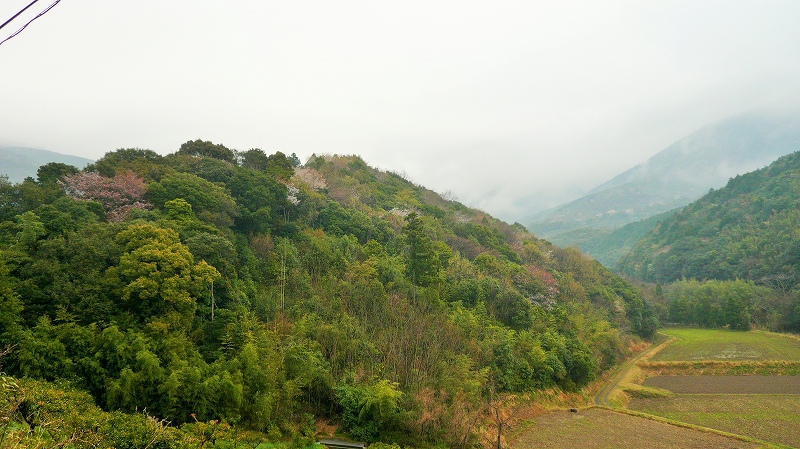 f:id:boianuf:20150507131308j:image