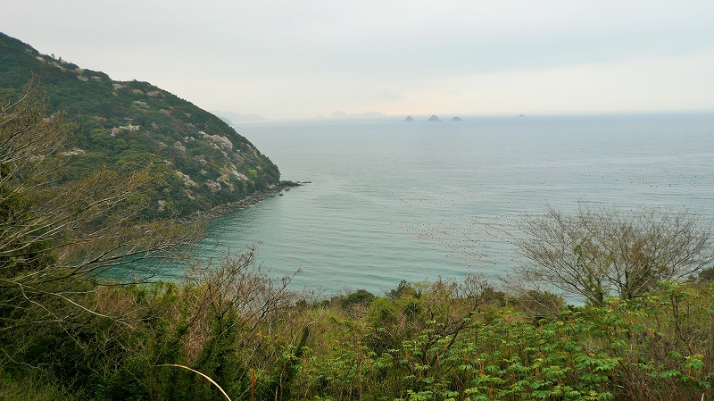 f:id:boianuf:20150507131427j:image