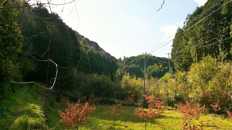 f:id:boianuf:20150508084433j:image