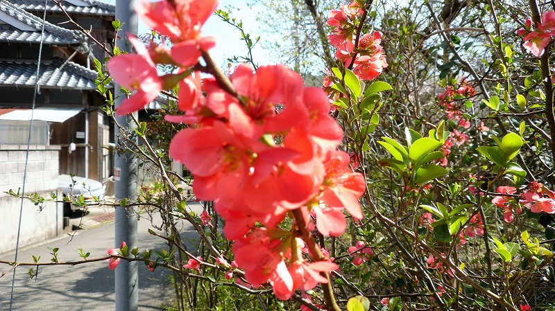 f:id:boianuf:20150508084544j:image