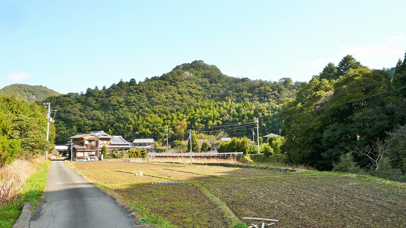 f:id:boianuf:20150508084549j:image