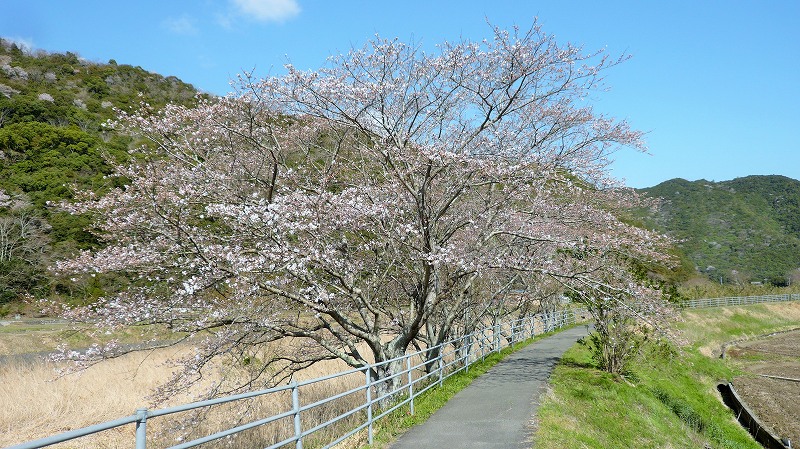 f:id:boianuf:20150508084700j:image