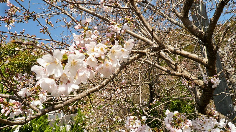 f:id:boianuf:20150508084706j:image