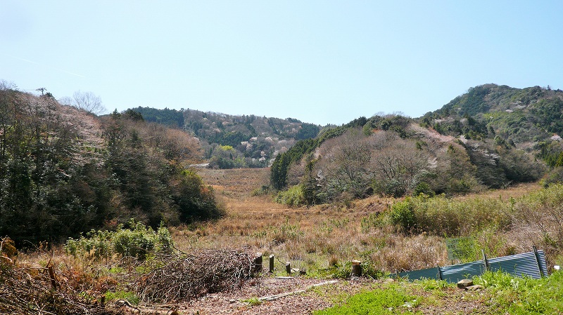 f:id:boianuf:20150508085331j:image