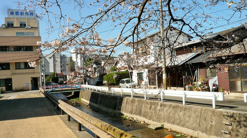 f:id:boianuf:20150508085902j:image