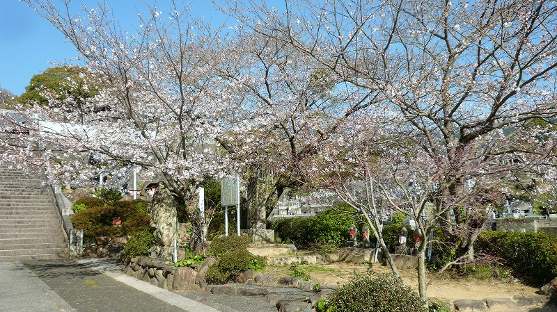 f:id:boianuf:20150508090059j:image