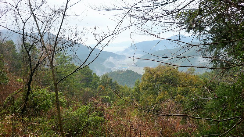 f:id:boianuf:20150510110200j:image