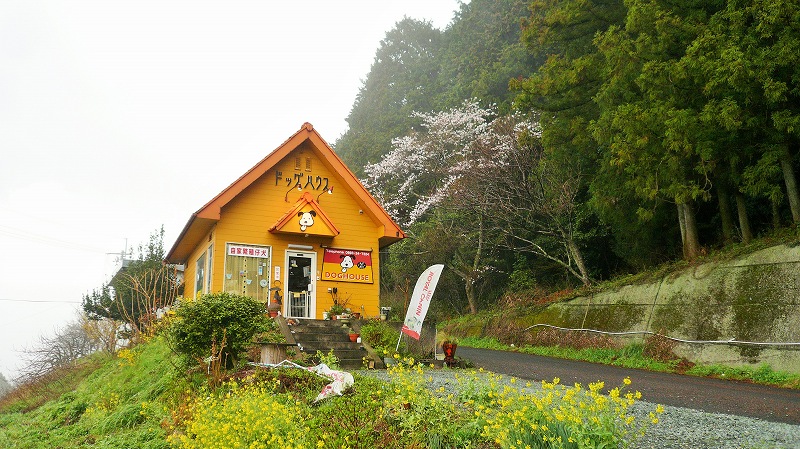f:id:boianuf:20150510110328j:image