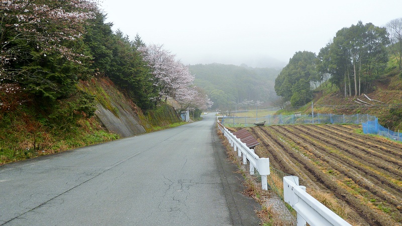 f:id:boianuf:20150510110458j:image