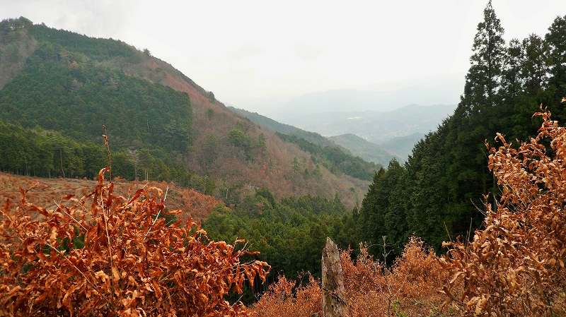 f:id:boianuf:20150510110736j:image