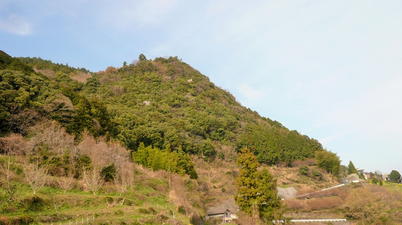 f:id:boianuf:20150510111545j:image