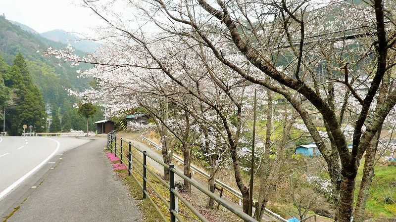 f:id:boianuf:20150511154352j:image