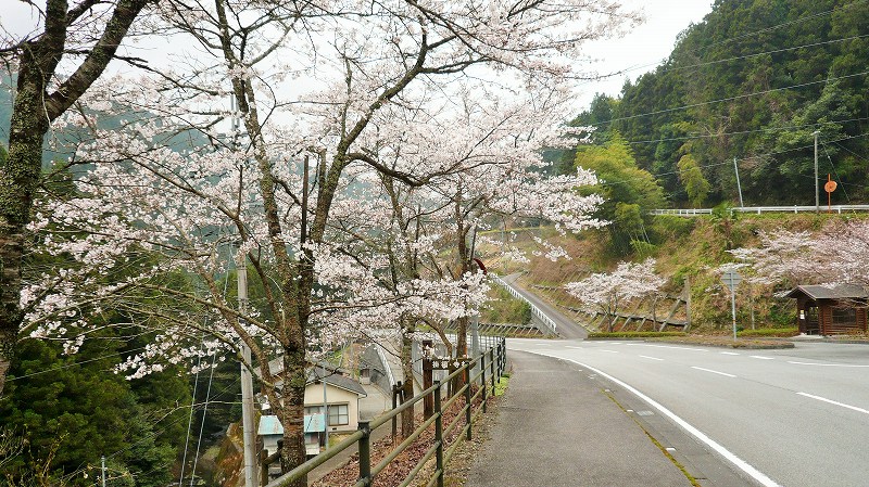 f:id:boianuf:20150511154353j:image