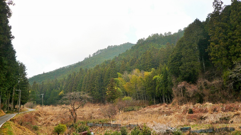 f:id:boianuf:20150511154952j:image