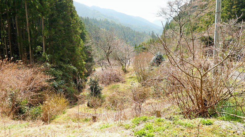 f:id:boianuf:20150511155317j:image