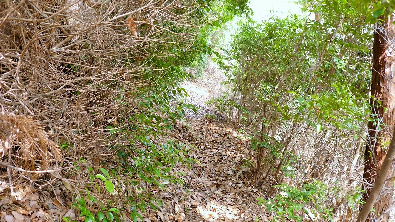 f:id:boianuf:20150511155627j:image
